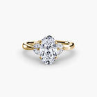 The Celestial Cluster Ring 2
